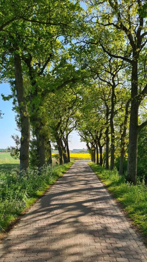 Ferienwohnung Baltrum Auf Dem Elisenhof Hagermarsch ภายนอก รูปภาพ