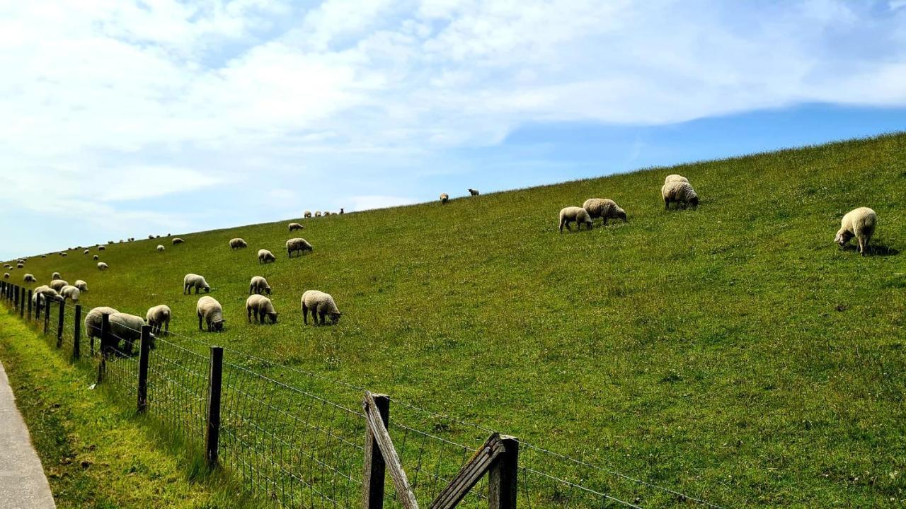 Ferienwohnung Baltrum Auf Dem Elisenhof Hagermarsch ภายนอก รูปภาพ