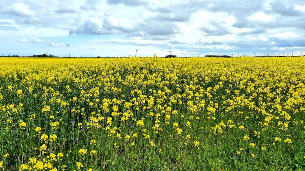 Ferienwohnung Baltrum Auf Dem Elisenhof Hagermarsch ภายนอก รูปภาพ